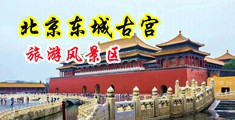 性爱插入肏详细描述中国北京-东城古宫旅游风景区